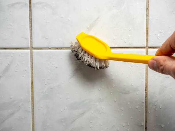 Best Toxic Mold Removal  in Fifth Ward, LA